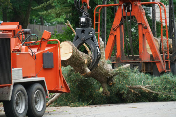 Mulching Services in Parma Heights, OH